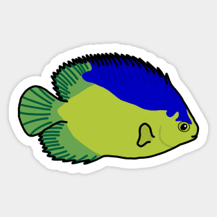 Colin’s Angelfish Sticker